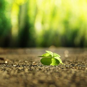 亚洲妓女毛耸耸撒尿
